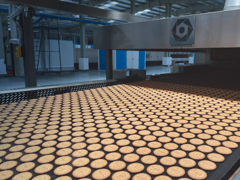 Direct Gas Fired Oven
