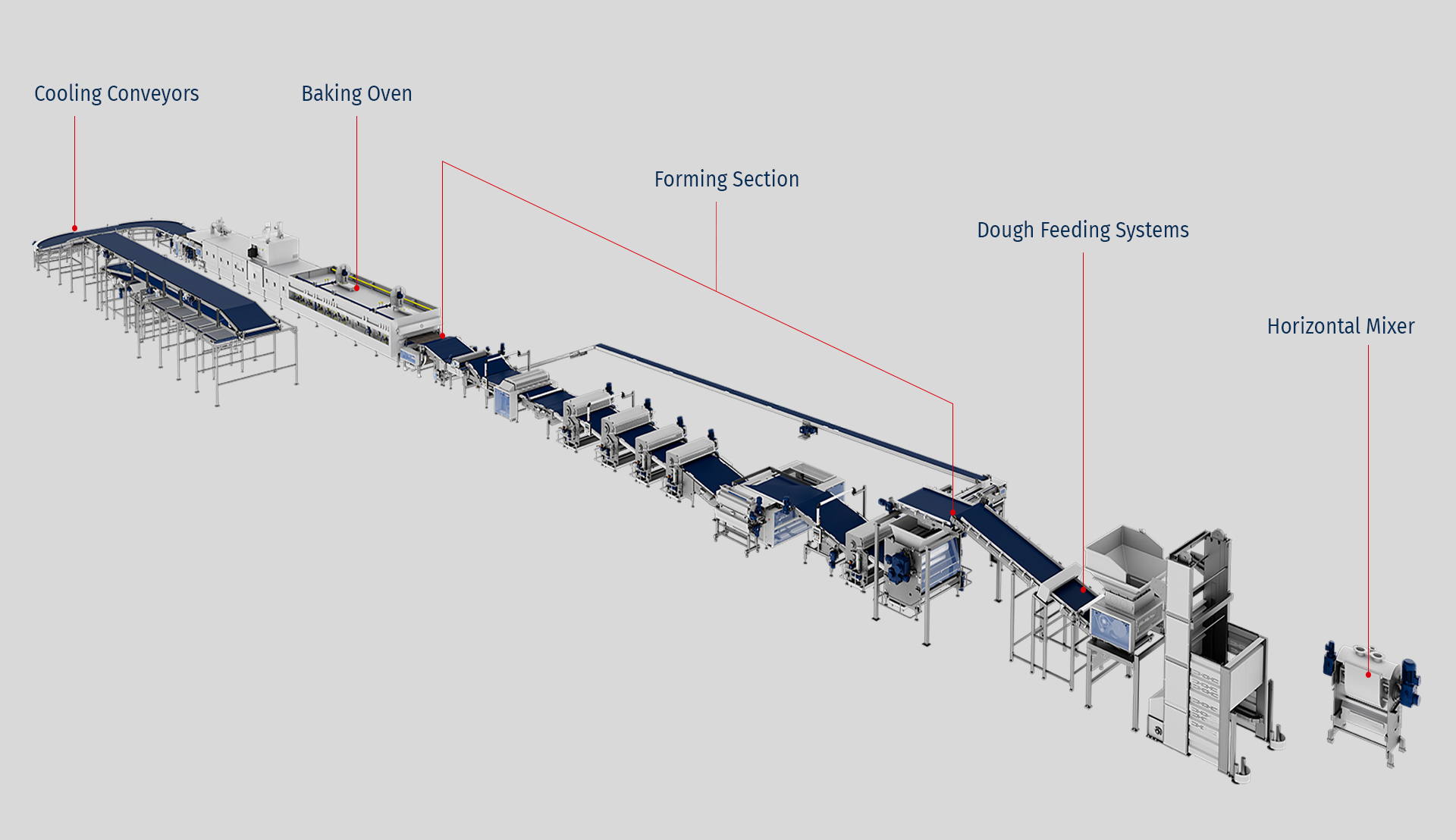 Rotary Cutting Line For Hard Dough Biscuits & Crackers