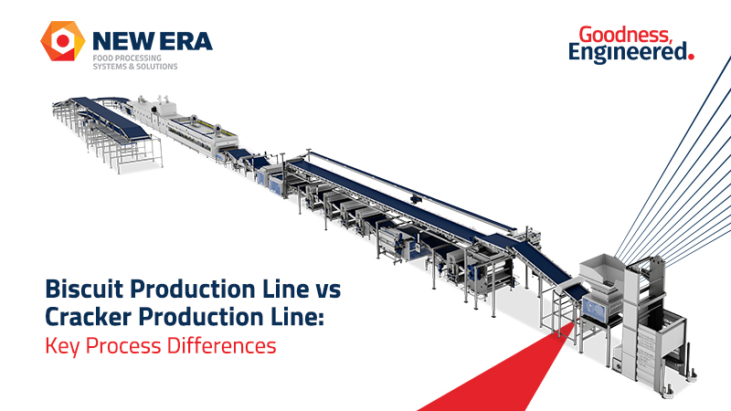 Biscuit Production Line vs Cracker Production Line: Key Process Differences 